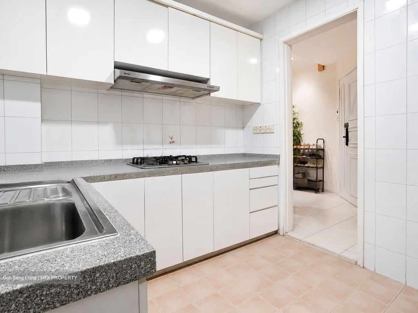 Bishan Park Condominium (D20), Condominium #583407721
